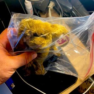 The first series of the Tway baby collections